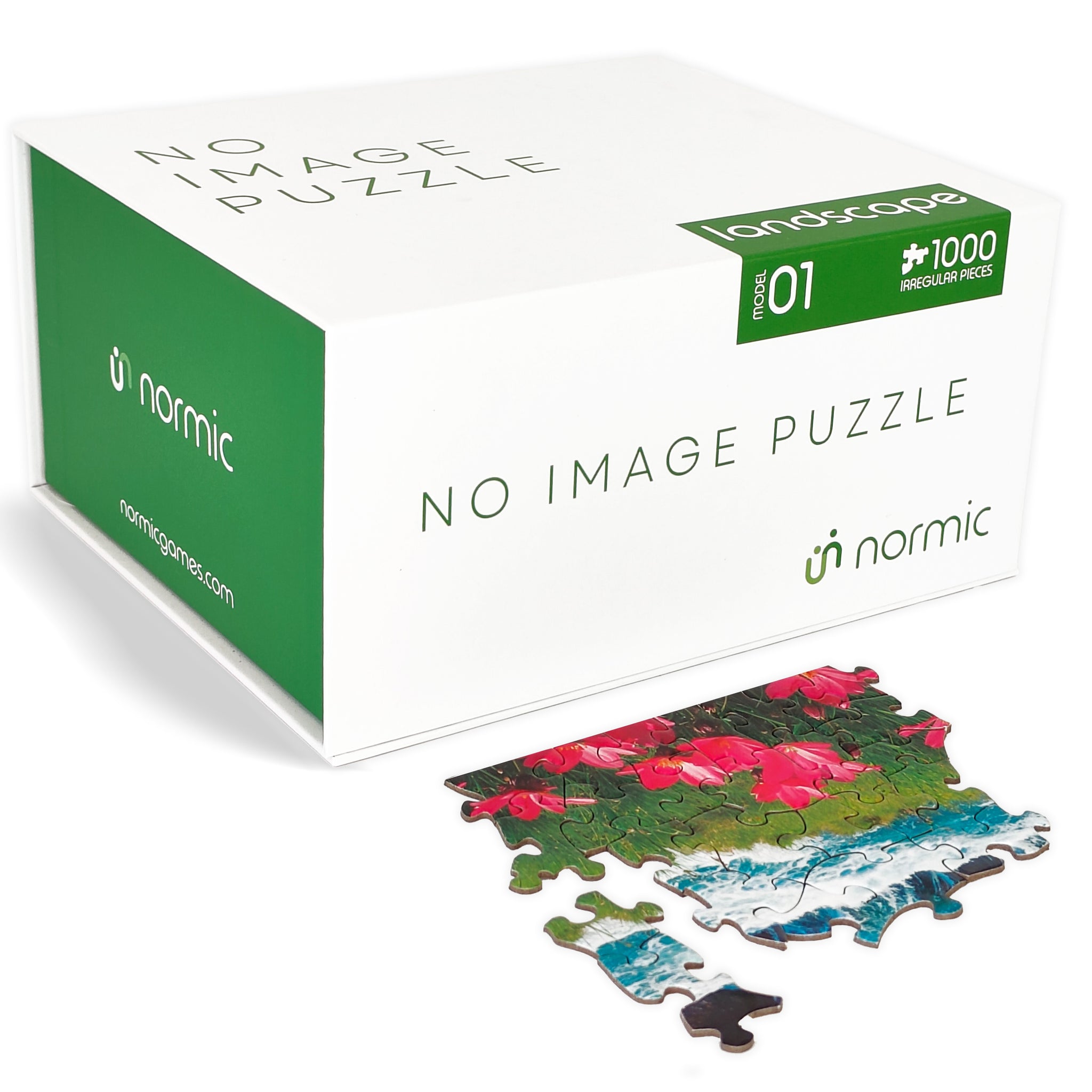 NO IMAGE PUZZLE - Landscape