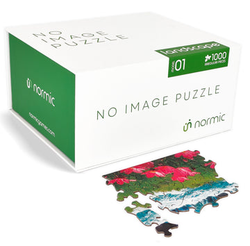 NO IMAGE PUZZLE - Landscape